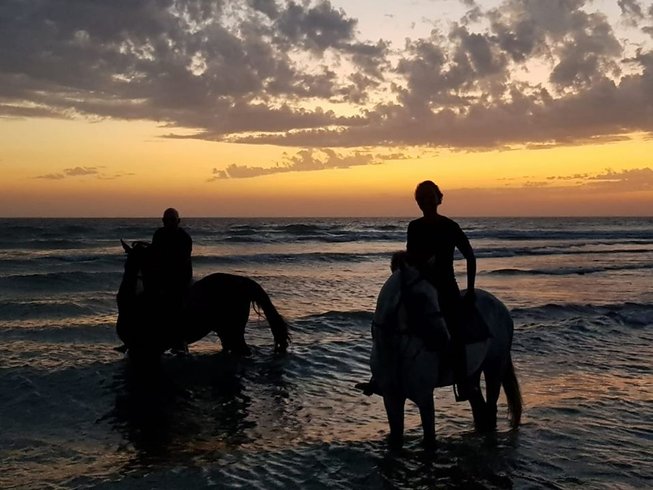 파라다이스 밸리, 사우스 사막 승마, 하이 아틀라스 산맥의 야생 해변 투어 8일
