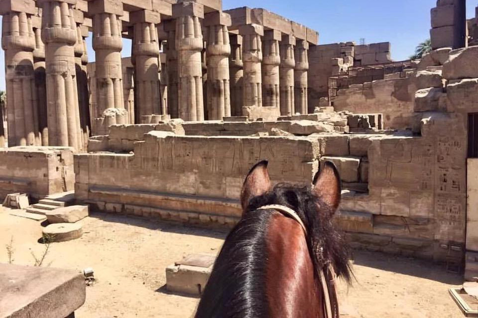 이집트 카이로, 룩소르, 홍해에서 즐기는 야자수, 피라미드, 그리고 말을 탄 파라오 8일